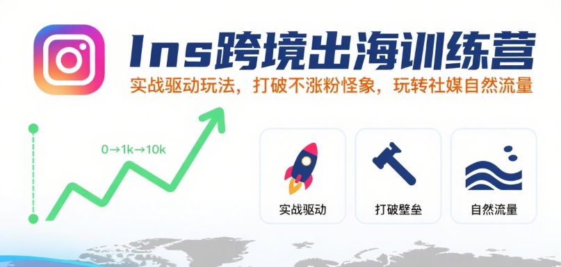 Ins跨境出海训练营,实战驱动玩法,打破不涨粉怪象,玩转社媒自然流量-赛德副业库