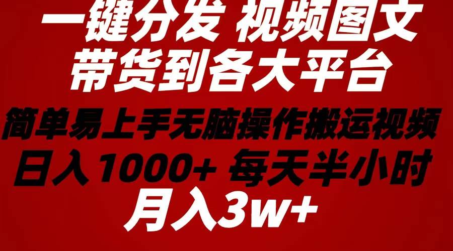 （10667期）2024年 一键分发带货图文视频  简单易上手 无脑赚收益 每天半小时日入1…-赛德副业库