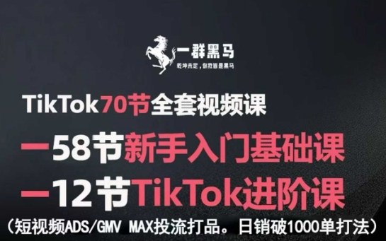 TikTok全套视频课，新手入门+进阶课，短视频ADS-GMV MAX投流打品，日销破1000单打法-赛德副业库