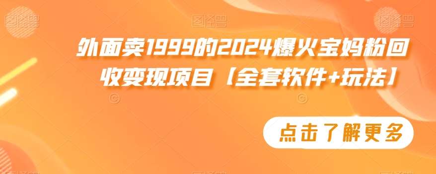 外面卖1999的2024爆火宝妈粉回收变现项目【全套软件+玩法】【揭秘】-赛德副业库