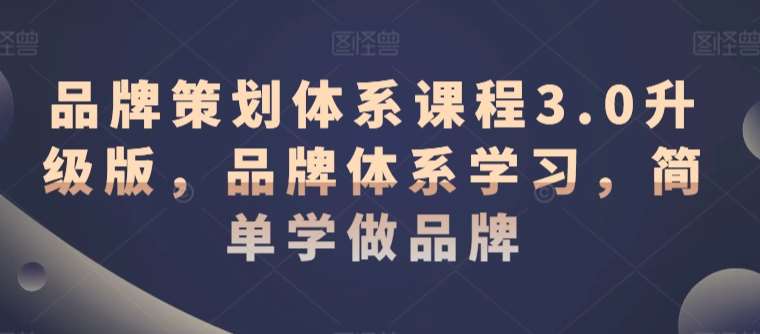 品牌策划体系课程3.0升级版，品牌体系学习，简单学做品牌-赛德副业库