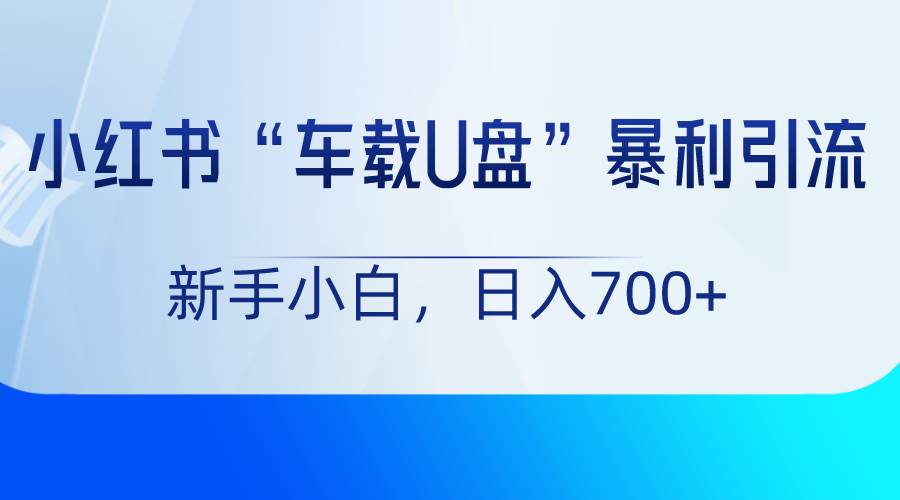 小红书“车载U盘”项目，暴利引流，新手小白轻松日入700+-赛德副业库