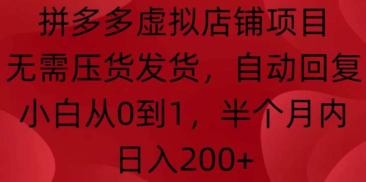 拼多多虚拟店铺项目，无需压货发货，自动回复，小白从0到1，半个月内日入200+【揭秘】-赛德副业库