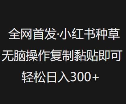 全网首发,小红书种草无脑操作,复制黏贴即可,轻松日入3张-赛德副业库