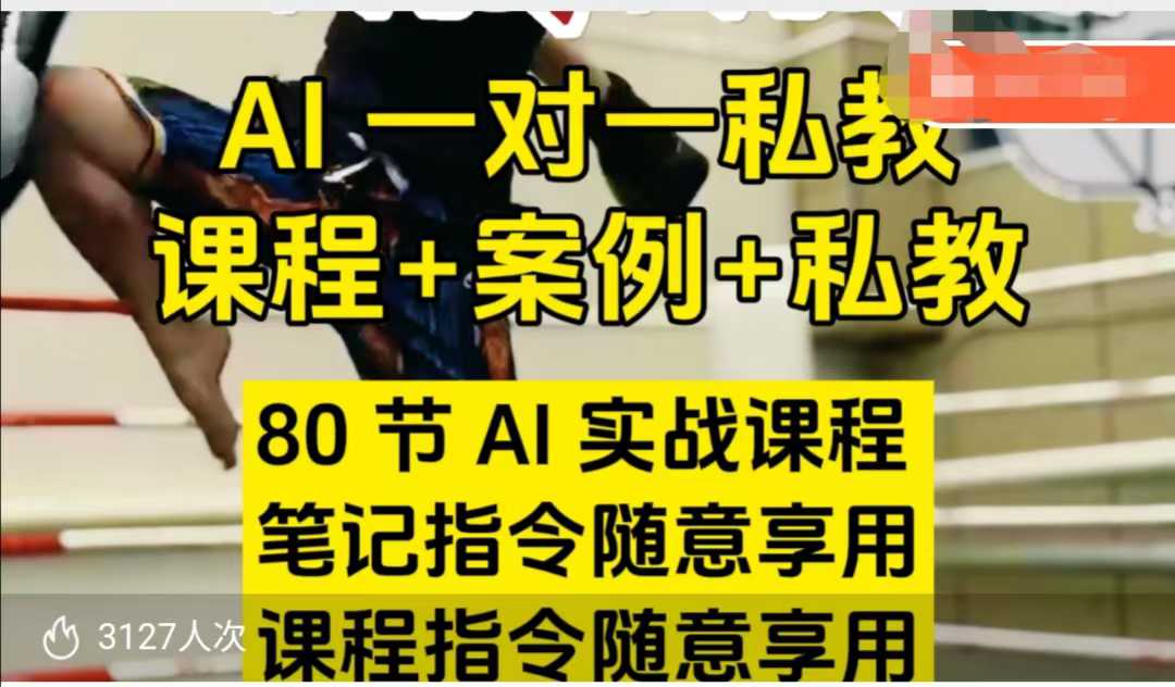 AI指令实战课,课程+案例,80节AI实战课程,笔记指令随意享用,课程指令随意享用(更新7月)-赛德副业库