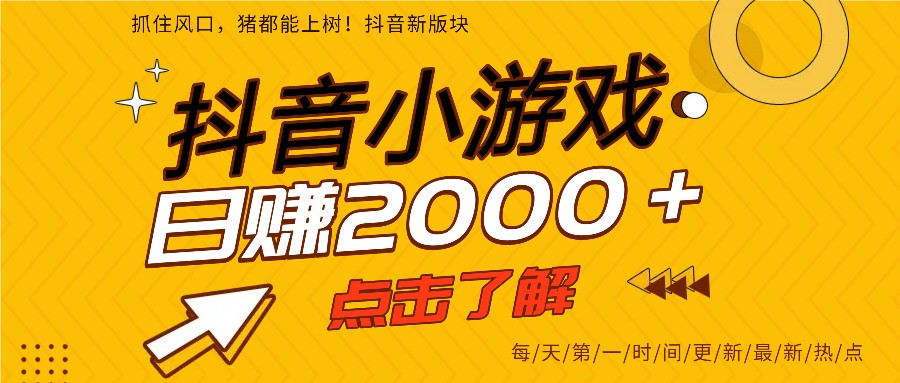 5年爆火的抖音小游戏项目，一部手机日入2000+-赛德副业库