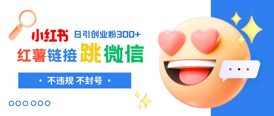 （8010期）小红薯跳转微信链接制作和引流思路，不违规不封号！-赛德副业库