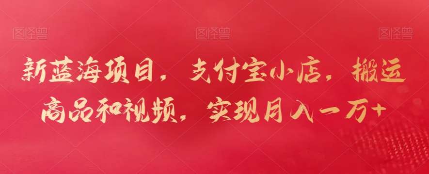 新蓝海项目，支付宝小店，搬运商品和视频，实现月入一万+【揭秘】-赛德副业库