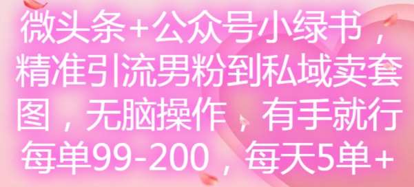 微头条+公众号小绿书，精准引流男粉到私域卖套图，无脑操作，有手就行，每单99-200，每天5单-赛德副业库