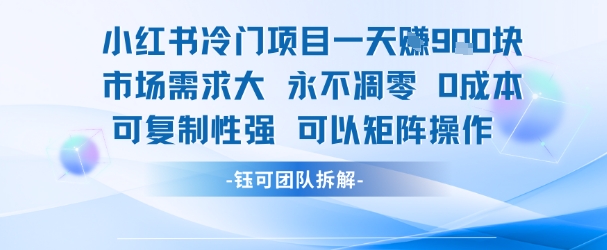 小红书冷门项目一天收益9张,市场需求大,0成本,可复制性强可以矩阵操作-赛德副业库