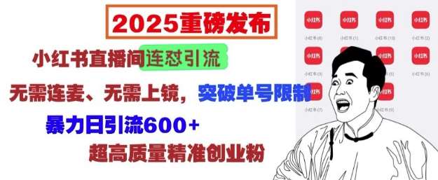 2025重磅发布：小红书直播间连怼引流，无需连麦、无需上镜，突破单号限制，暴力日引流600+-赛德副业库