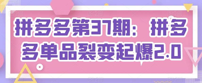 拼多多第37期：拼多多单品裂变起爆2.0-赛德副业库