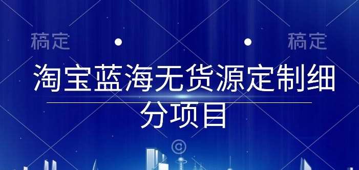 淘宝蓝海无货源定制细分项目，从0到起店实操全流程【揭秘】-赛德副业库