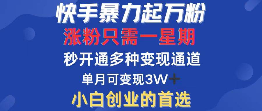 （12651期）快手暴力起万粉，涨粉只需一星期，多种变现模式，直接秒开万合，小白创…-赛德副业库