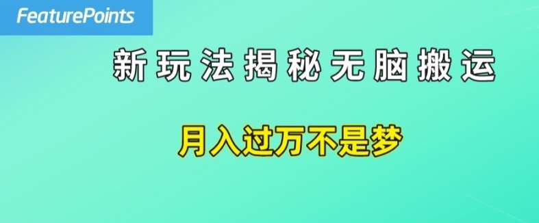 简单操作，每天50美元收入，搬运就是赚钱的秘诀【揭秘】-赛德副业库