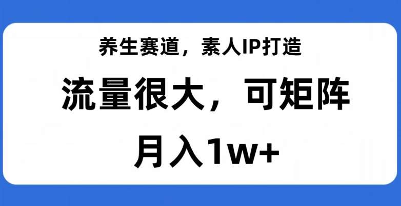 养生赛道，素人IP打造，流量很大，可矩阵，月入1w+【揭秘】-赛德副业库