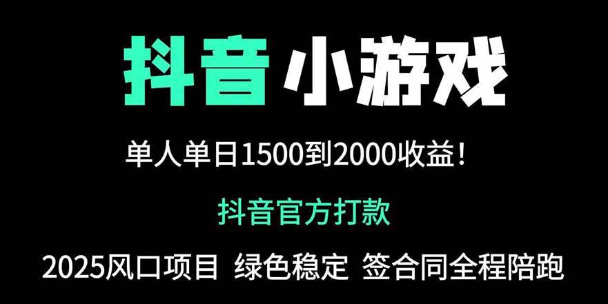 （14527期）抖音官方小游戏2025全网最新玩法，暴利赚钱项目，单机日入2000+，绝不…-赛德副业库