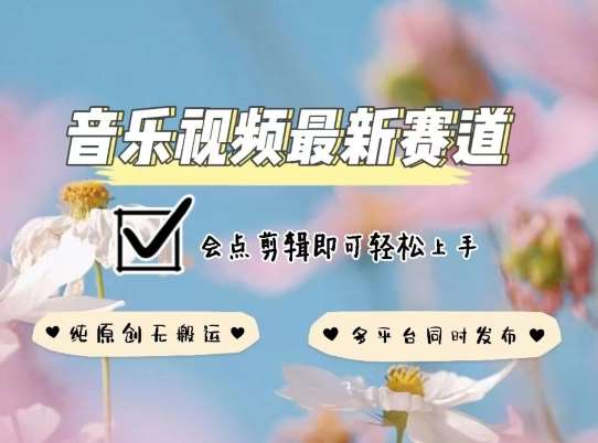 音乐视频赛道最新玩法，纯原创不违规，可所有平台同时发布，会点剪辑即可轻松拿捏【揭秘】-赛德副业库