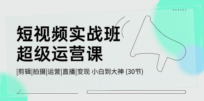 短视频实战班超级运营课 |剪辑|拍摄|运营|直播|变现 小白到大神 (30节)-赛德副业库