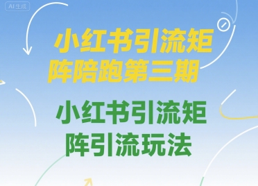 小红书引流矩阵陪跑第三期，小红书引流矩阵引流玩法-赛德副业库