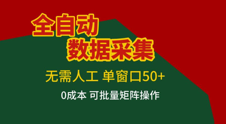 全自动数据采集，无需人工，单窗口50+，0成本可批量矩阵操作【揭秘】-赛德副业库