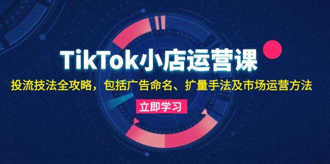（13063期）TikTok小店运营课：投流技法全攻略，包括广告命名 扩量手法及市场运营方法-赛德副业库