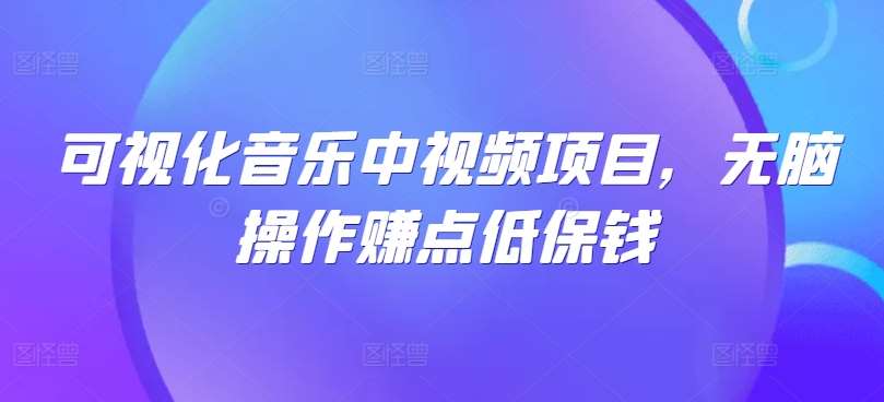 可视化音乐中视频项目,无脑操作赚点低保钱-赛德副业库
