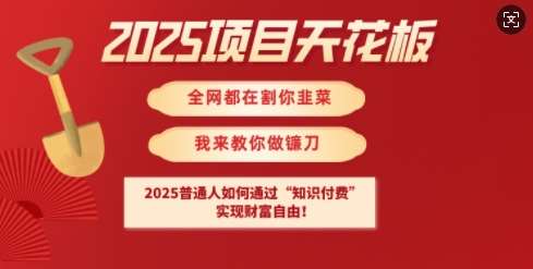 2025项目天花板普通人如何通过知识付费，实现财F自由【揭秘】-赛德副业库