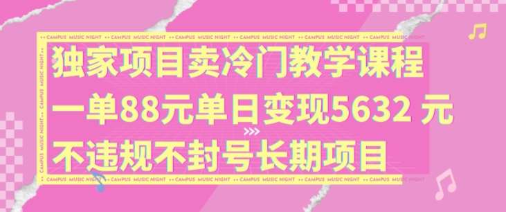 独家项目卖冷门教学课程一单88元单日变现5632元违规不封号长期项目【揭秘】-赛德副业库