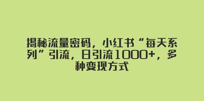 （8179期）揭秘流量密码，小红书“每天系列”引流，日引流1000+，多种变现方式-赛德副业库