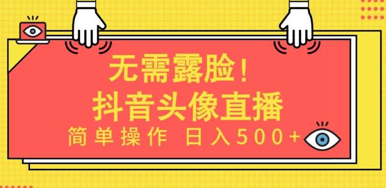 无需露脸，Ai头像直播项目，简单操作日入500+【揭秘】-赛德副业库