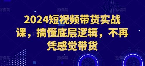 2024短视频带货实战课，搞懂底层逻辑，不再凭感觉带货-赛德副业库