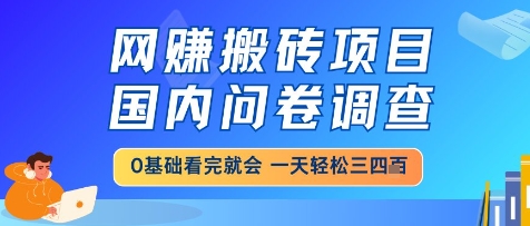 网创搬砖项目，国内问卷调查，小白轻松上手，一天三四张的也不难，干就完了【揭秘】-赛德副业库
