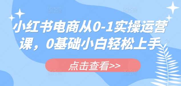 小红书电商从0-1实操运营课，0基础小白轻松上手-赛德副业库