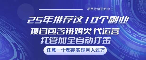 25年推荐这10个副业项目包含褂鸡类、代运营托管类、全自动打金类【揭秘】-赛德副业库