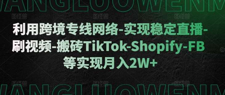 利用跨境专线网络-实现稳定直播-刷视频-搬砖TikTok-Shopify-FB等实现月入2W+【揭秘】-赛德副业库