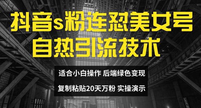 抖音s粉连怼美女号自热引流技术复制粘贴，20天万粉账号，无需实名制，矩阵操作【揭秘】-赛德副业库