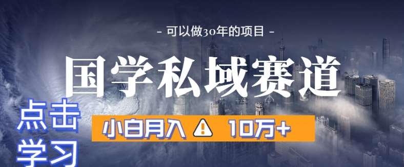 暴力国学私域赛道，小白月入10万+，引流+转化完整流程【揭秘】-赛德副业库