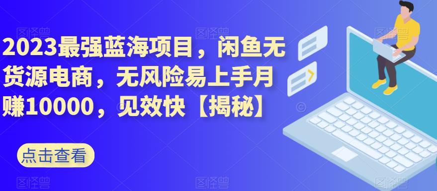 2023最强蓝海项目，闲鱼无货源电商，无风险易上手月赚10000，见效快【揭秘】-赛德副业库