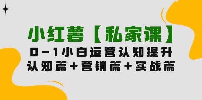 (9910期)小红薯【私家课】0-1玩赚小红书内容营销,认知篇+营销篇+实战篇(11节课)-赛德副业库