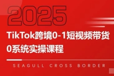 TikTok跨境0-1短视频带货，系统拆解TikTok跨境带货全链路，实现跨境可持续盈利-赛德副业库