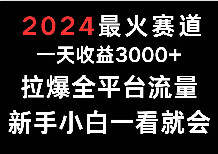 2024最火赛道，一天收一3000+.拉爆全平台流量，新手小白一看就会-赛德副业库