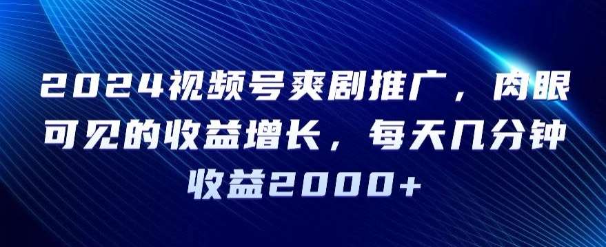 2024视频号爽剧推广，肉眼可见的收益增长，每天几分钟收益2000+【揭秘】-赛德副业库