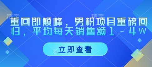重回即颠峰，男粉项目重磅回归，平均每天销售额1-4W-赛德副业库