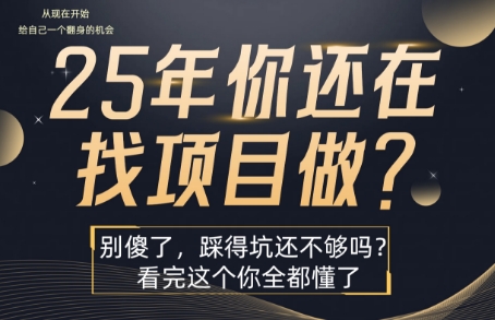 25年,你还在疯狂的找项目吗?别傻了,看完这个你都懂了【揭秘】-赛德副业库