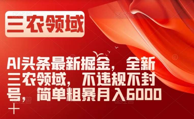 AI头条最新掘金，全新三农领域，不违规不封号，简单粗暴月入6000＋【揭秘】-赛德副业库