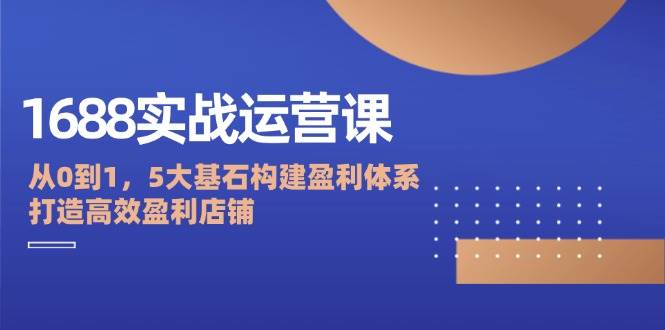 （12482期）1688实战运营课：从0到1，5大基石构建盈利体系，打造高效盈利店铺-赛德副业库