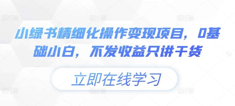 小绿书精细化操作变现项目,0基础小白,不发收益只讲干货-赛德副业库