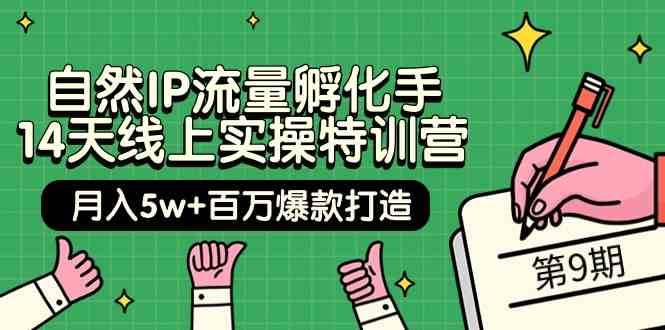 自然IP流量孵化手14天线上实操特训营【第9期】月入5w+百万爆款打造 (74节)-赛德副业库