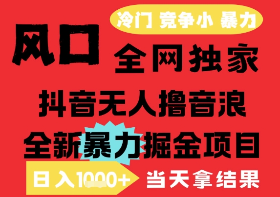 25年6月高爆抖音无人直播最新撸音浪掘金项目,解放双手小白可做,无脑日入1k+,门槛低【揭秘】-赛德副业库
